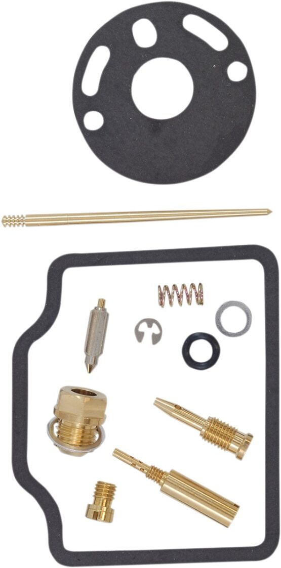 Carburetor Repair Kit