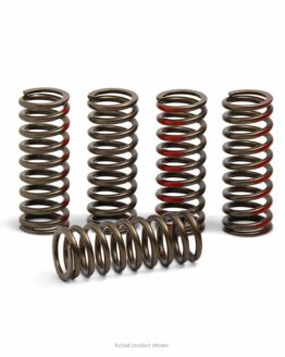 Performance Clutch Springs