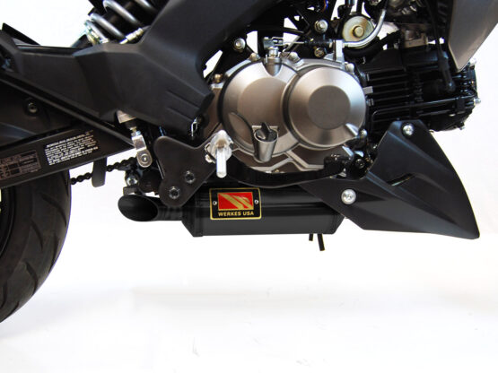 Black Velvet GP Full Exhaust - Image 2