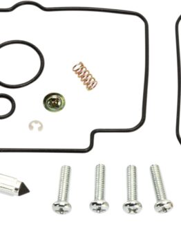 Carburetor Repair Kit