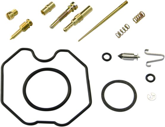 Carburetor Repair Kit
