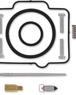 Carburetor Repair Kit