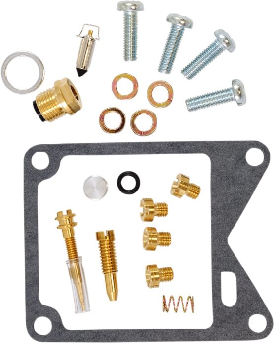 Carburetor Repair Kit