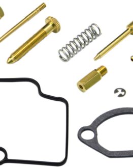 Carburetor Repair Kit