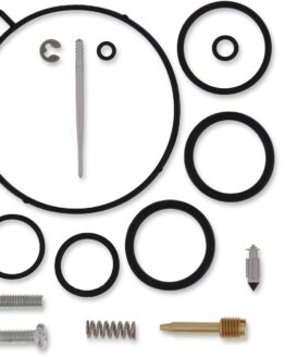 Carburetor Repair Kit