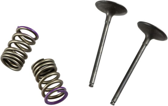 Steel Intake Valve/Spring Kit - Image 2