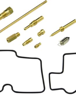 Carburetor Repair Kit