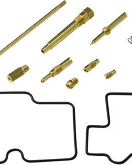 Carburetor Repair Kit