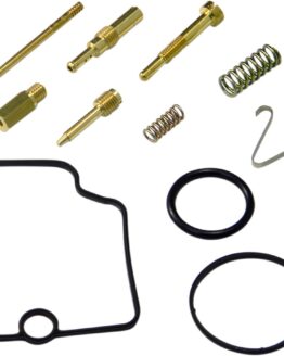 Carburetor Repair Kit