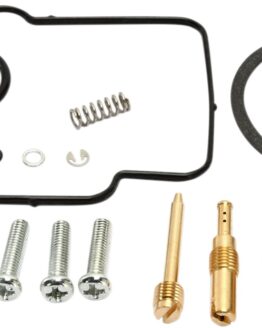 Carburetor Repair Kit