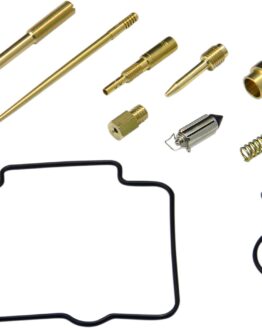 Carburetor Repair Kit