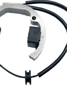 Rick's Motorsport Electrics Stator KTM 50 2001-2022