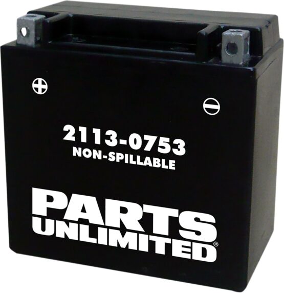 AGM Maintenance Free Battery 200CCA 12V 12Ah Factory Activated