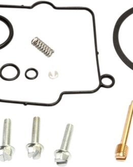 Carburetor Repair Kit