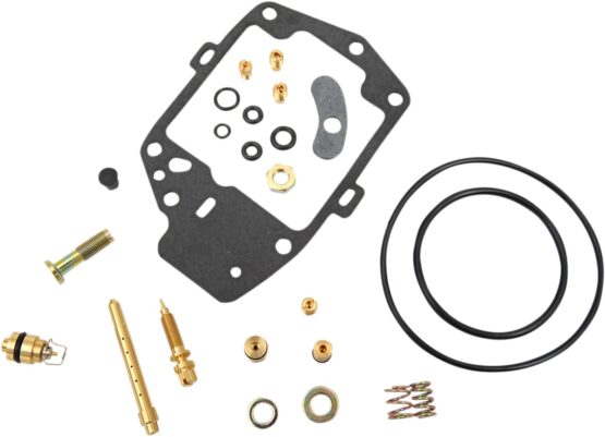 Carburetor Repair Kit