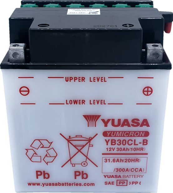 Yuasa YB30CL-B Yumicron 12V Battery - Image 4