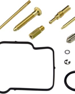 Carburetor Repair Kit