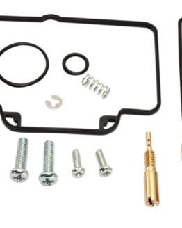 Carburetor Repair Kit