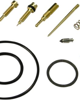 Carburetor Repair Kit