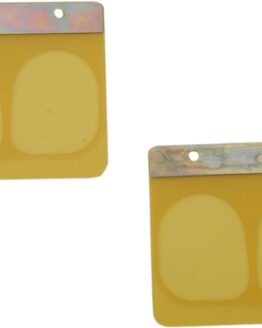 Motorcycle Reeds