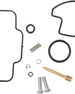 Carburetor Repair Kit