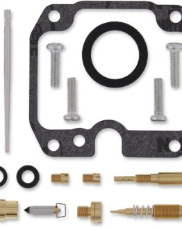 Carburetor Repair Kit