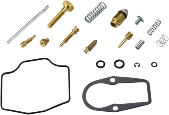 Carburetor Repair Kit