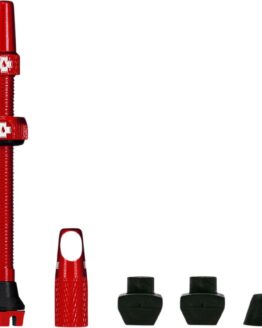 Tubeless Valve