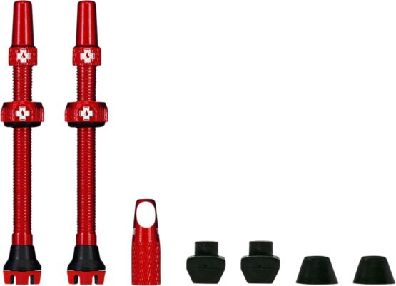 Tubeless Valve