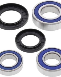 Wheel Bearing and Seal Kits