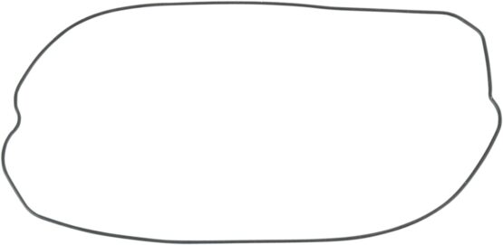 Outer Clutch Cover Gasket / O-Ring