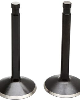 Kibblewhite Valve Kit Black Diamond Harley Shovelhead 74in 1966-77