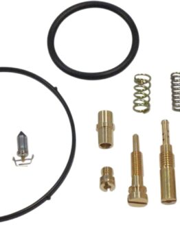 Carburetor Repair Kit
