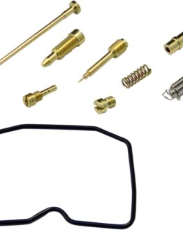 Carburetor Repair Kit