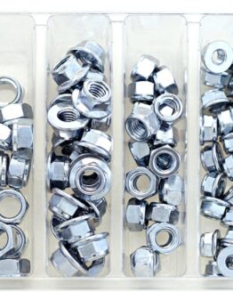 Bolt Fuji Lock Nut Assortment Pack Silver - 100 Piece Kit
