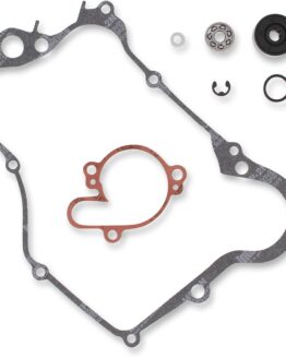 Water Pump Repair Kit