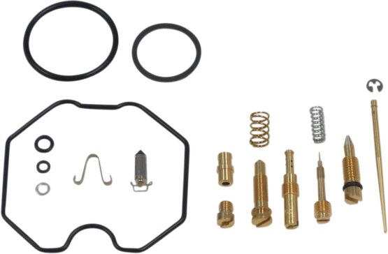 Carburetor Repair Kit