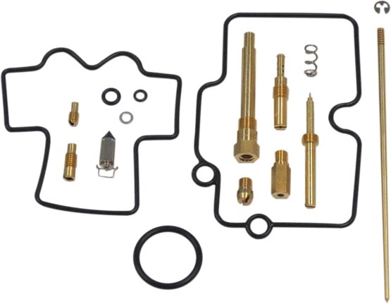 Carburetor Repair Kit
