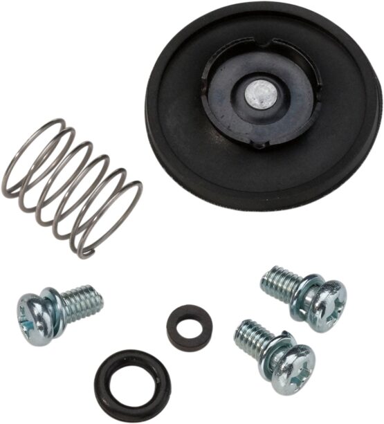 Accelerator Pump Rebuild Kit
