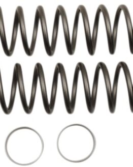 Fork Springs .38KG