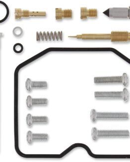 ATV Carburetor Repair Kit