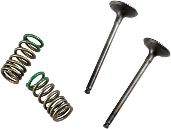 Steel Exhaust Valve/Spring Kit - Image 2