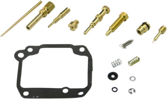Carburetor Repair Kit