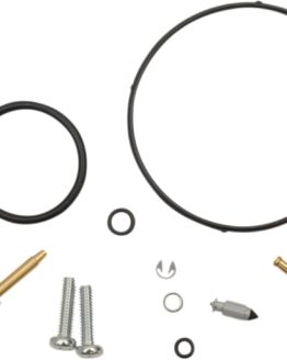Carburetor Repair Kit