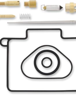 Carburetor Repair Kit