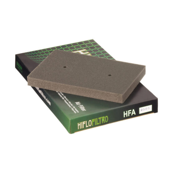 Air Filter Replaces Kawasaki 11013-0020