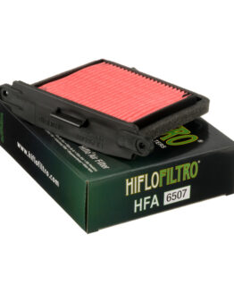 Left Side Air Filter - Replaces Triumph T2206530