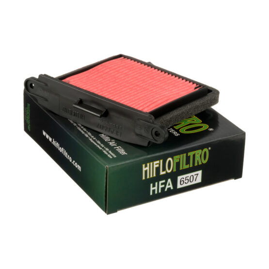 Left Side Air Filter - Replaces Triumph T2206530