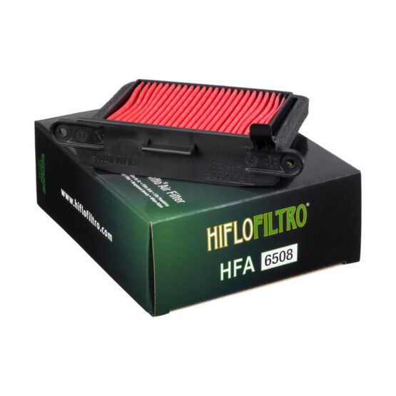 Right Side Air Filter - Replaces Triumph T2206531