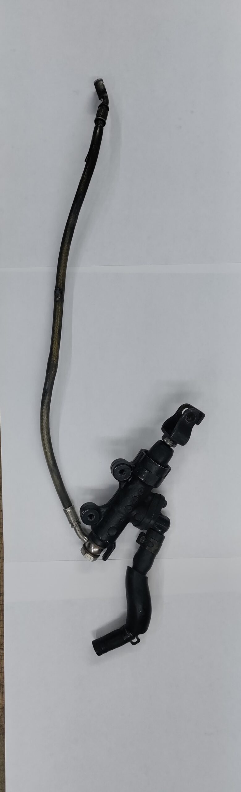 IMG_20251022_105523__01.jpg IMG_20251022_105523__01.jpg